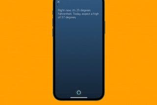 Image for article: How to Use Alexa on iPhone